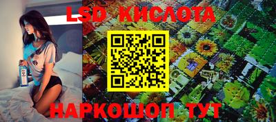 гидра Краснознаменск